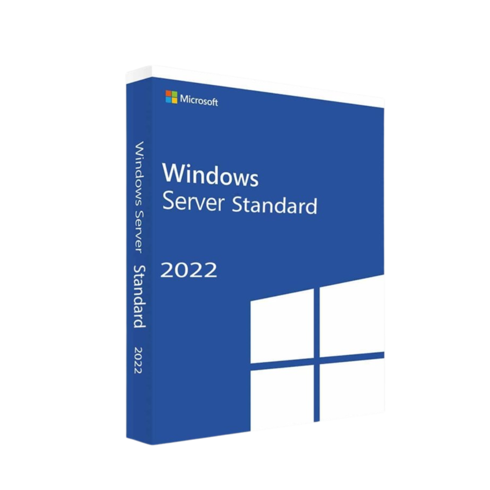 Microsoft Windows Svr Std 2022 64Bit French 1pk DS (P73-08329)