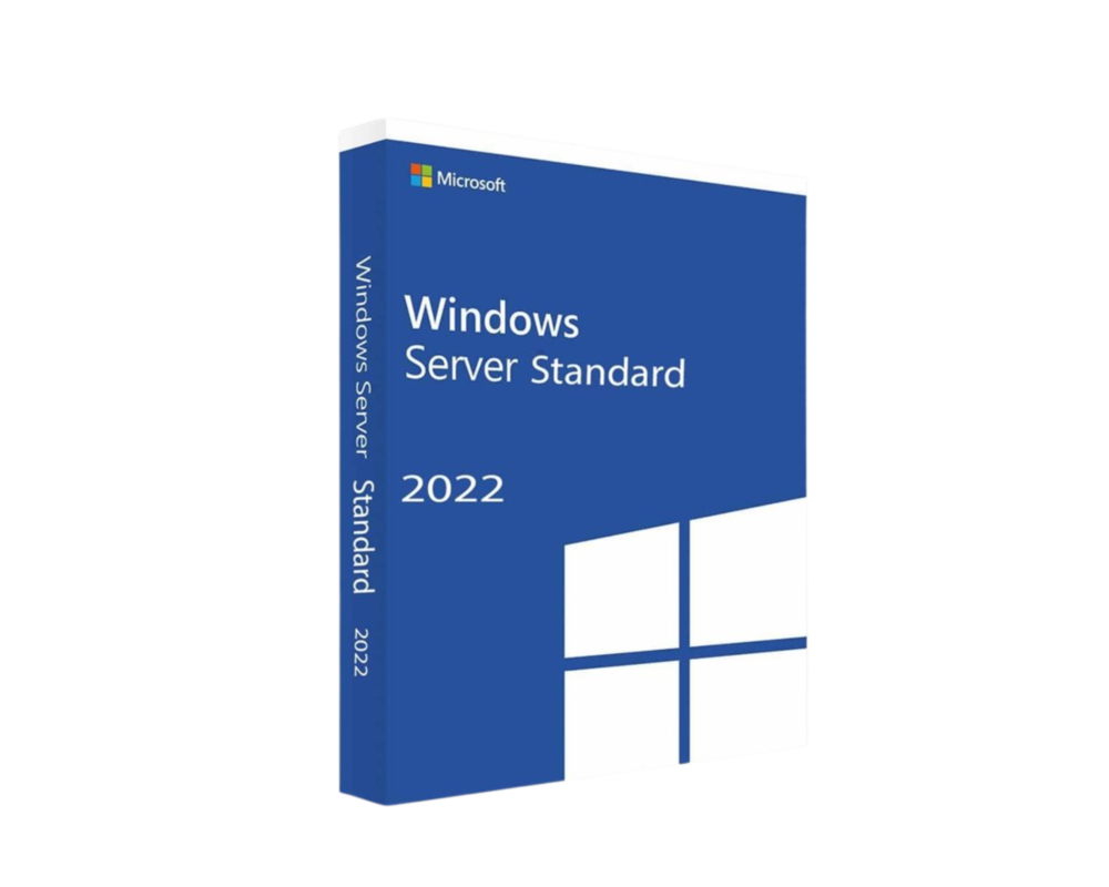 Microsoft Windows Svr Std 2022 64Bit French 1pk DS (P73-08329)