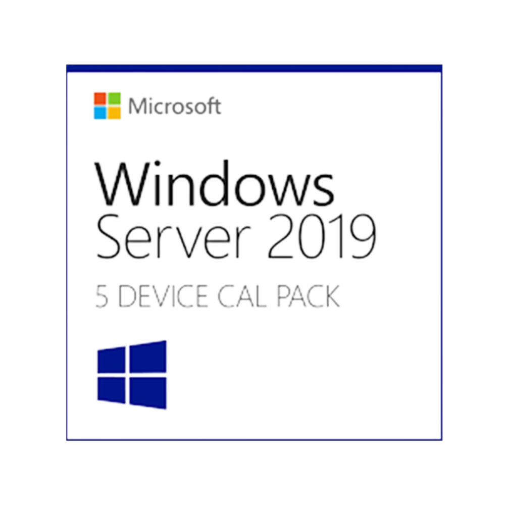 MS Windows Server CAL 2019 French 1pk DSP OEI 5 Clt Device CAL (R18-05830)