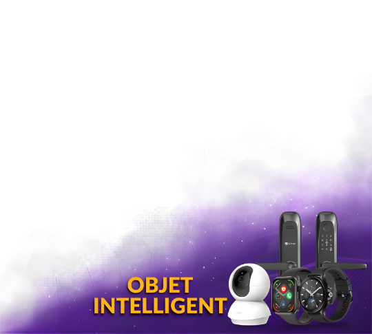 OBJET INTELLIGENT