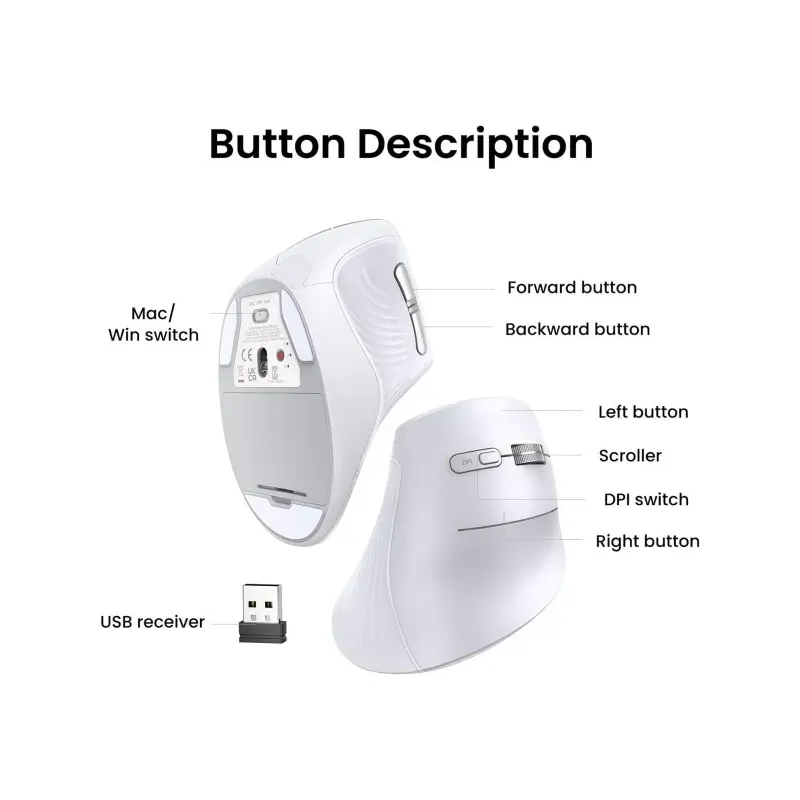 ugreen souris sans fil bluetooth multi mode vertical blanc 45759 (2)