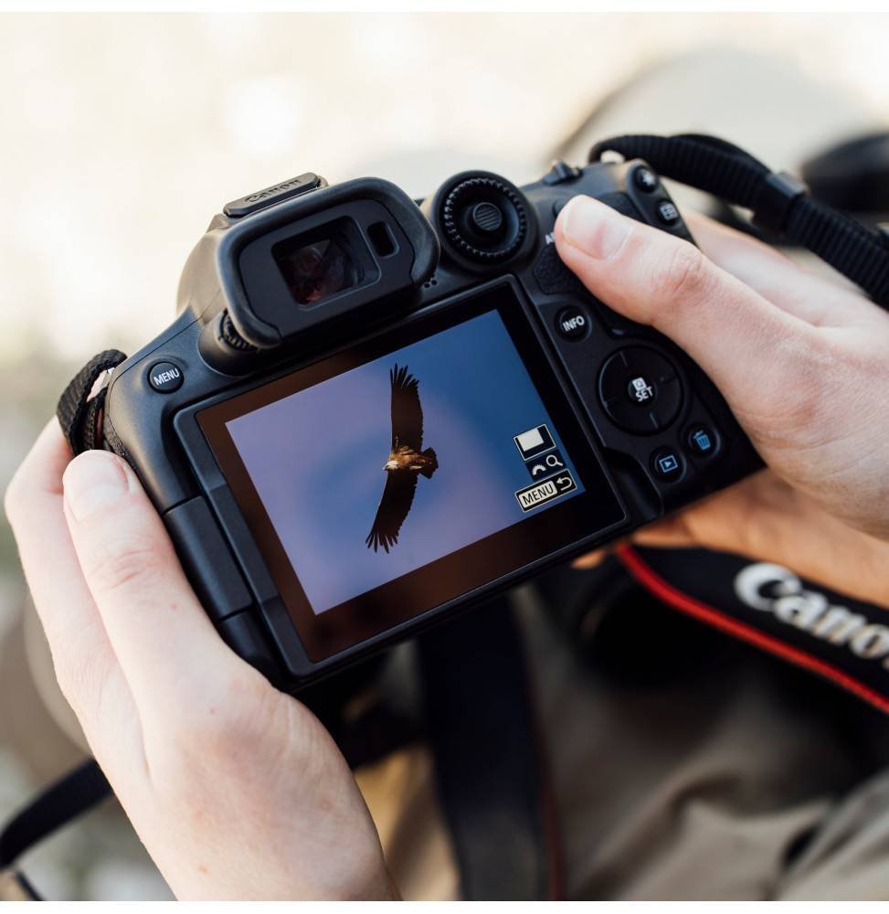 CANON EOS R7 RF-S18-150 IS STM (5137C010AA) - Gtel img6 1.jpg